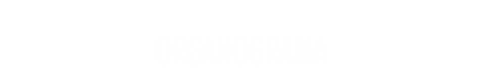 t-organograma